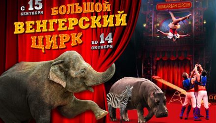Не пропустите. В Гомель 15 сентября приезжает Венгерский цирк