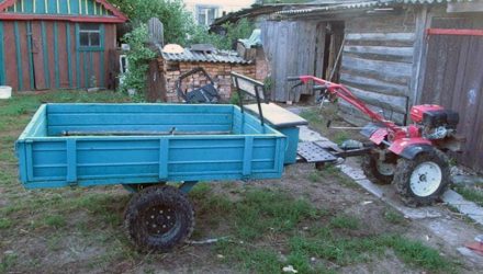 Выкопали тело и сожгли. Появились новые обстоятельства по делу о жестоком убийстве женщины в Октябрьском районе