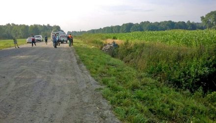 В Речицком районе легковушка вылетела в кювет, где перевернулась — водитель вылетел из салона и погиб
