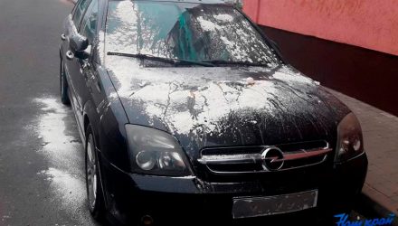 В Барановичах Opel забросали яйцами, обсыпали мукой и залили краской