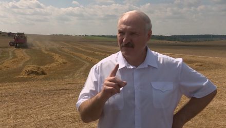 Инновационный газовый комбайн тестируют в Гомельской области. Его хочет посмотреть президент