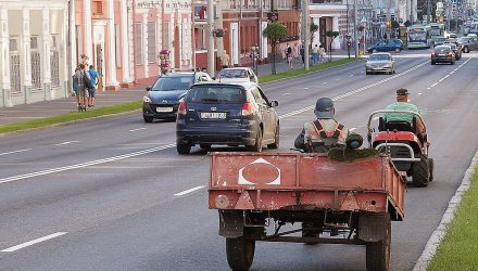 "А то! 7 августа должен приехать". Гомель снова готовится к визиту Лукашенко