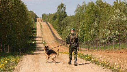 Украинцы устремились на Гомельщину. Пограничники задержали трудового мигранта и парня на Range Rover с поддельным паспортом
