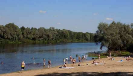ОСВОД: люди сознательно нарушают запрет о купании