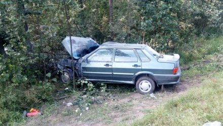 Водитель, который ехал из Речицы в Гомель, уснул за рулём и врезался в дерево – пострадала 4-летняя девочка