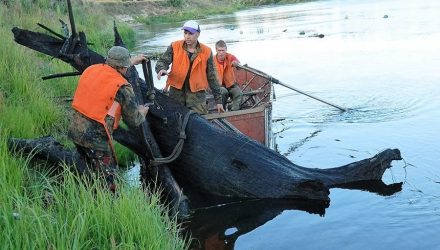 Стул по цене автомобиля. Сколько на Гомельщине можно заработать на морёном дубе?