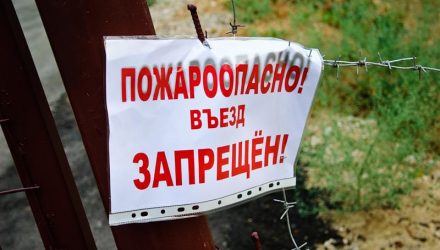 В Гомельском и Добрушском районах введён запрет на посещение лесов