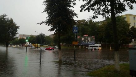 В Гомеле в субботу выпало более половины среднемесячной нормы осадков