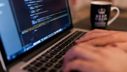 ГГУ имени Ф. Скорины приглашает гомельчан на бесплатные IT-уроки