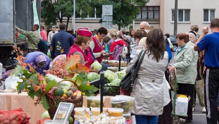 "Картошечка, надо брать!" В Гомеле с 10 сентября стартует сезон осенних ярмарок