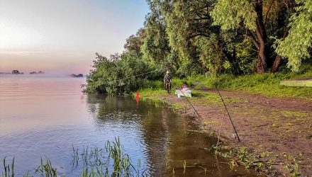 В Речицком районе на берегу Днепра рыбак-гомельчанин нашёл человеческий череп в шапке