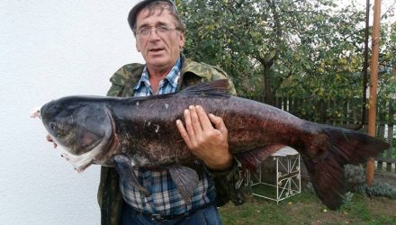 Вот это улов! Белорус поймал 14-килограммового толстолобика