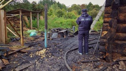 Трагедия... Под Рогачёвом на пожаре погиб 3-летний ребёнок