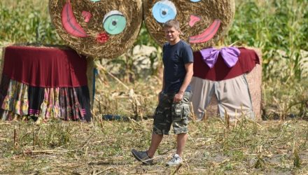 Гомельчанин: Обожаю дачу, пристрелите меня