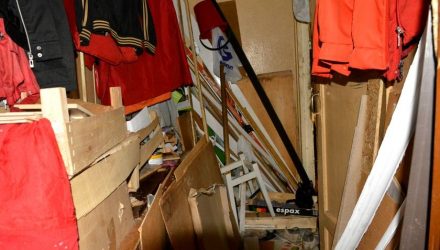 Нескучные соседи в Гомеле: комиссия наведалась к бывшему алкоголику, кошатнице и сборщице мусора
