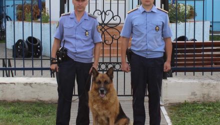 В Речице сотрудники Департамента охраны задержали похитителей углеводородного конденсата