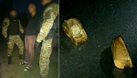 Дора +1. Милицейская собака вновь показала свой класс, найдя гашиш в кармане мозырянина (фото, видео)