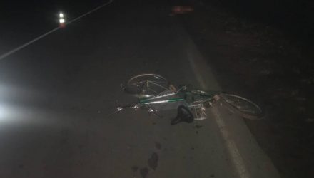 Гомельчанин на грузовике насмерть сбил велосипедиста