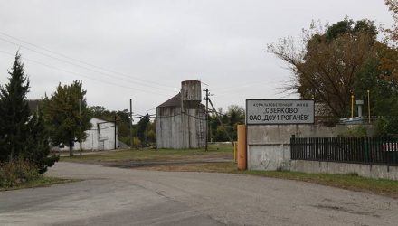 Ужас. В Рогачёве сторожа асфальтобетонного завода окатило расплавленным битумом