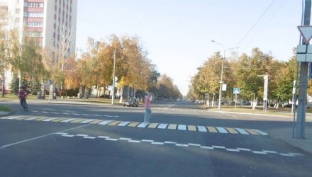 В Гомеле по просьбе жителей установили новую искусственную неровность