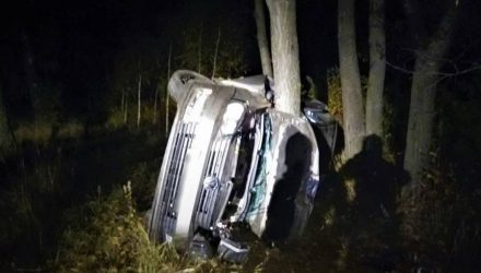 В Пуховичском районе пьяный гомельчанин на Volkswagen врезался в дерево