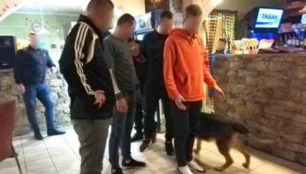 Служебная собака Дора унюхала наркотики у минчанина, который приехал в Калинковичи