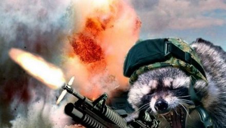 Еноты напали на полицейский участок в США (видео)