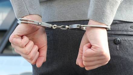 Житель Лунинецкого района задержан по подозрению в педофилии: растлении родной дочери