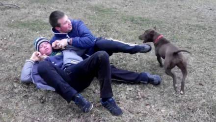 В Гомеле собака без намордника напала на детей – порвана одежда, у одного повреждён нос, от хозяина несло перегаром