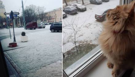 В Гомеле пошёл первый снег