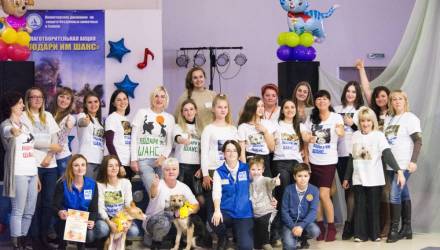 "Подари им шанс". В ГЦК волонтёры отдавали в хорошие руки бездомных животных (фото)