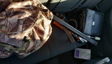 Вышел из леса и начал палить в сторону домов. Гомельчанин, увлечённый охотой на зайца, чуть не застрелил женщину
