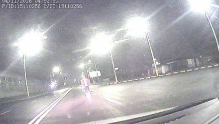 В Гомеле ночью пьяный парень "гулял" по проезжей части и был очень возмущён последующим задержанием