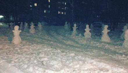 На Гомельщине белорус слепил во дворе 51 снеговика