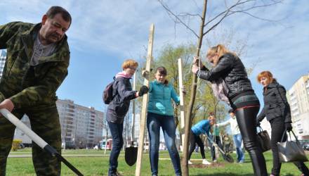 Новость-лайк. Тысячи взрослых деревьев высадят весной в Гомеле