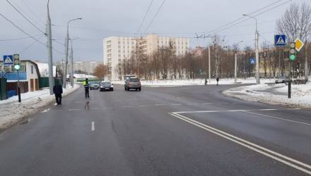 В Гомеле ищут свидетелей наезда на пешехода