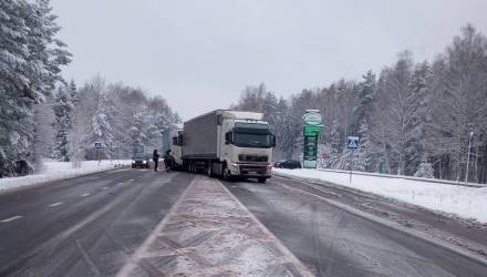 Собачку жалко. На трассе М3 из-за бездомного пса столкнулись две фуры