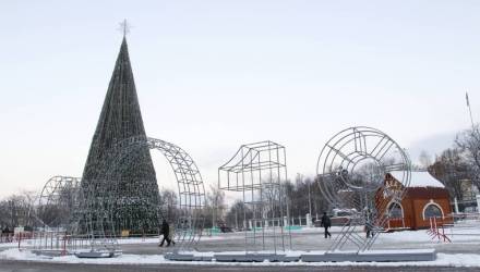 Фотофакт: в Гомеле установили главную новогоднюю ёлку