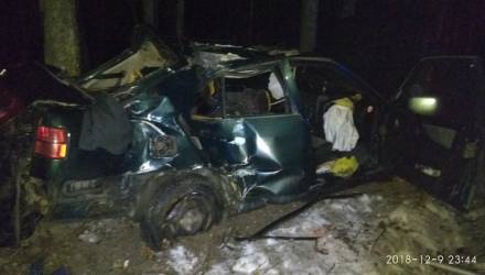 На пути в Гомель... Под Речицей занесло Seat: авто врезалось в дерево, водитель погиб