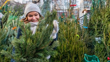 В воскресенье в Гомеле начнут работу ёлочные базары
