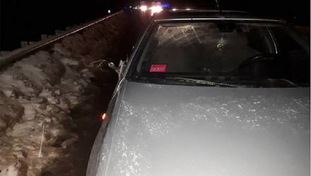 Легковушка сбила насмерть пешехода на гомельской трассе