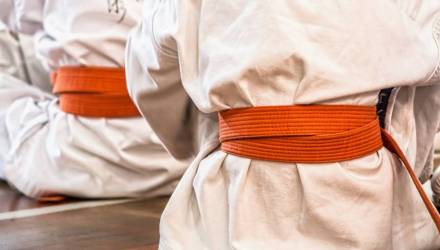 Инструкторы из Японии обучат в Гомеле каратистов из разных стран технике поединков