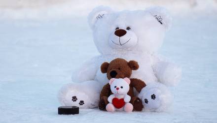 В Ледовом дворце 16 февраля состоится благотворительная акция «Игрушкопад»