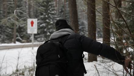 На Гомельщине вблизи границы с Украиной задержаны граждане Нигерии