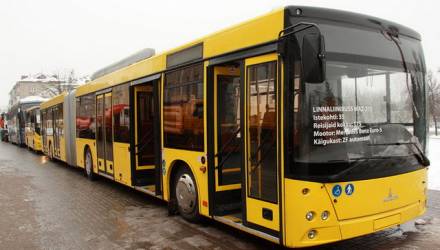 В Осовцы пойдут сразу несколько автобусов по новым маршрутам