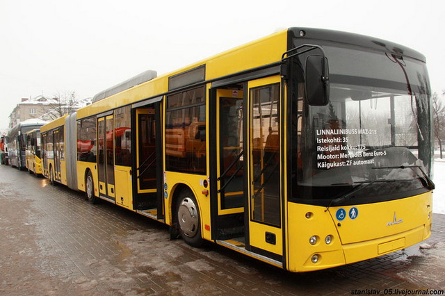 В Осовцы пойдут сразу несколько автобусов по новым маршрутам
