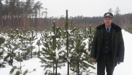 Лучшим лесничим 2018 года стал Виктор Голос из Петриковского лесхоза