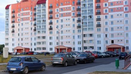 В Гомеле многодетным семьям рекомендуют обратить внимание на индивидуальное строительство