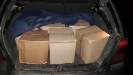 Под Гомелем остановили двух нервных водителей: оказалось, везли почти тонну будущей водки