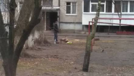 Запахло весной... Так можно или нет гомельчанам жарить шашлык во дворах многоэтажек?